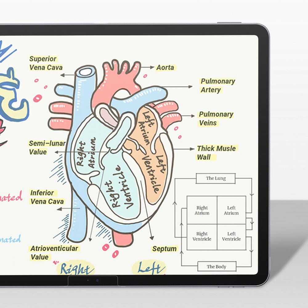 Apple iPad Pro 13 2025 M5 Kağıt Hisli Benks Mat Paper-Like Ekran Koruyucu - 5