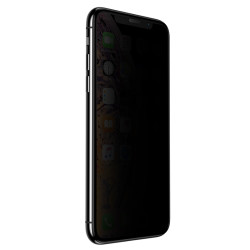 Apple iPhone 11 Pro Zore Anti-Dust Privacy Temperli Ekran Koruyucu Siyah
