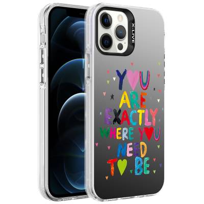 Apple iPhone 12 Pro Case Patterned Zore Silver Hard Cover You