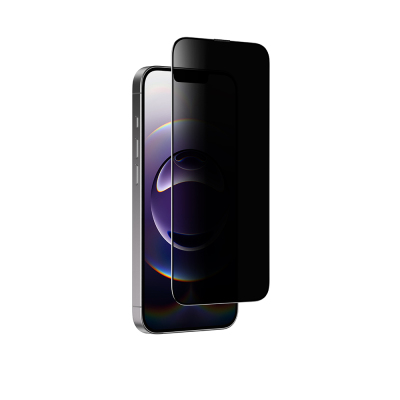 Apple iPhone 16E Amazingthing Titan Privacy Parmak İzi Bırakmayan Temperli Cam Ekran Koruyucu Siyah