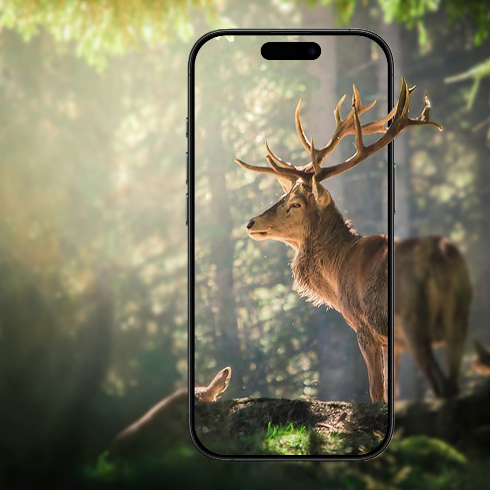 Apple iPhone 17 Air Zore Mikro Kamera Lens Koruyucu - 22