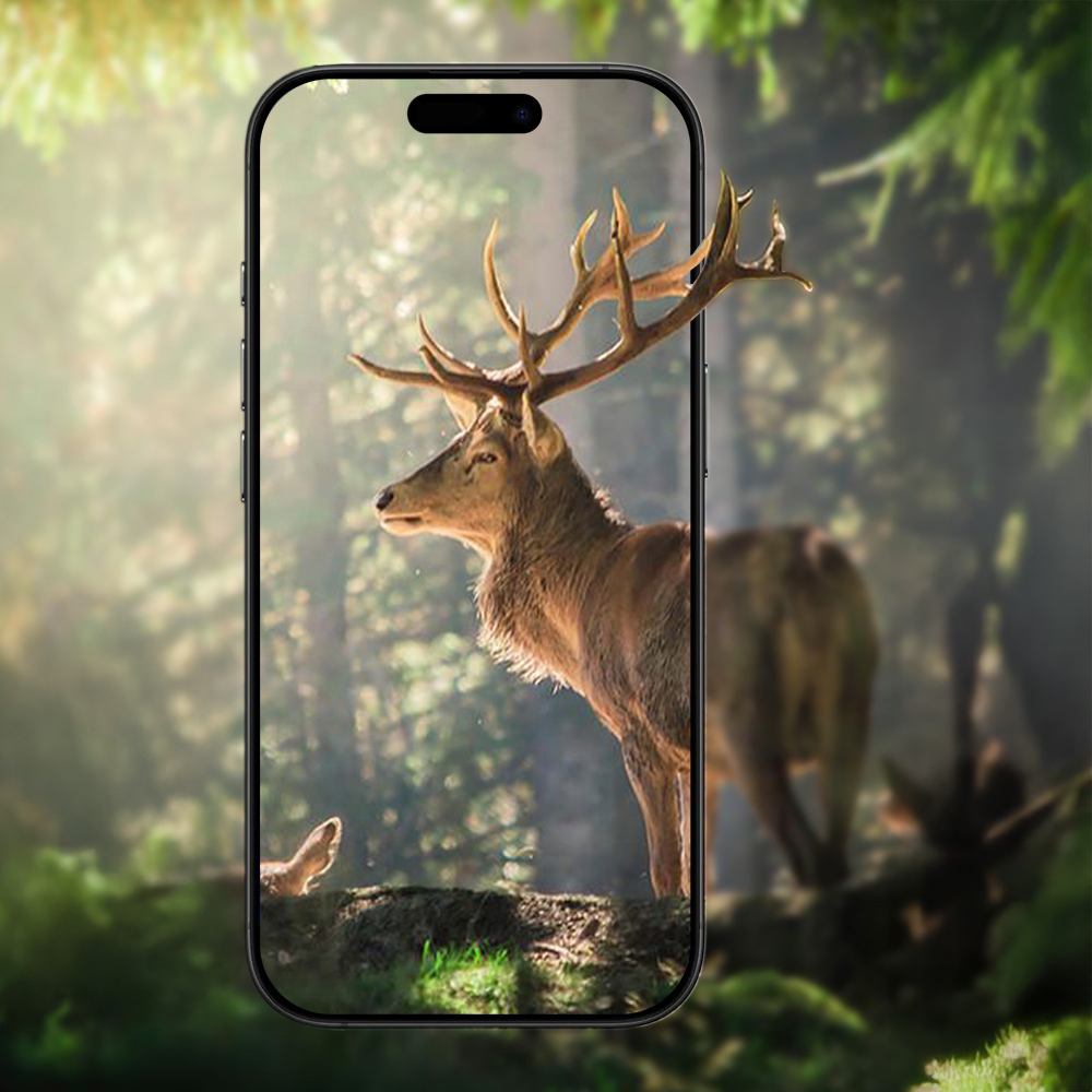 Apple iPhone 17 Zore Mikro Kamera Lens Koruyucu - 26