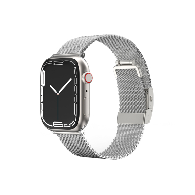 Apple Watch 10 42mm Amazingthing Titan Metal Hasır Kordon Gümüş