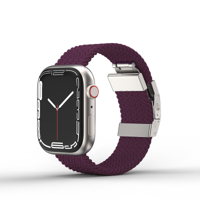 Apple Watch 40mm Amazingthing Titan Weave Braided Sport Band Purple