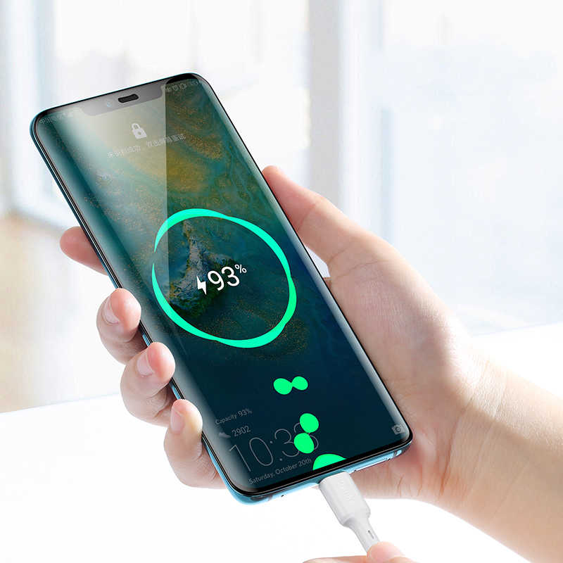 Benks D35 Type-C Fast Charging Usb Cable 0.25m - 2