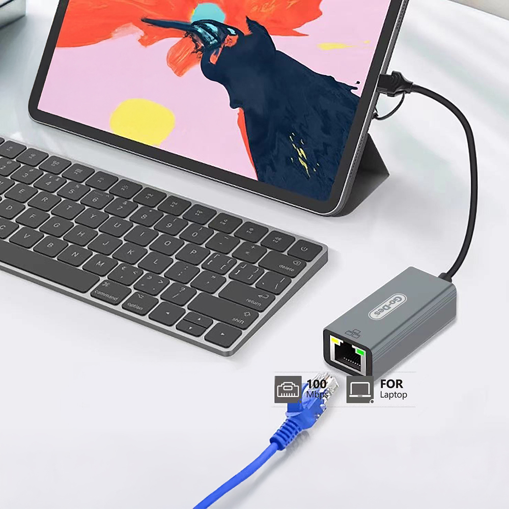 Go Des GD-6871 RJ45 Type-C ve USB-A Ethernet Dönüştürücü Kablo 100Mbps - 3