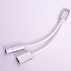 Go Des GD-UC010 2 in 1 Usb-C To 3.5mm Audio Adapter Grey