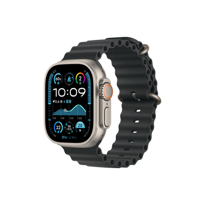 Lapas LW-03 iOS ve Android Uyumlu Akıllı Saat Titanyum