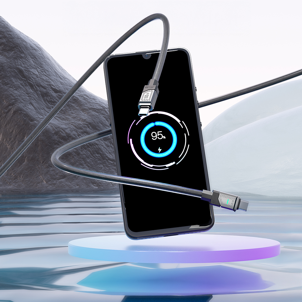 Lenyes LC506 Type-C to Type-C PD 100W Fast Charging Data and Charging Cable 1M - 3