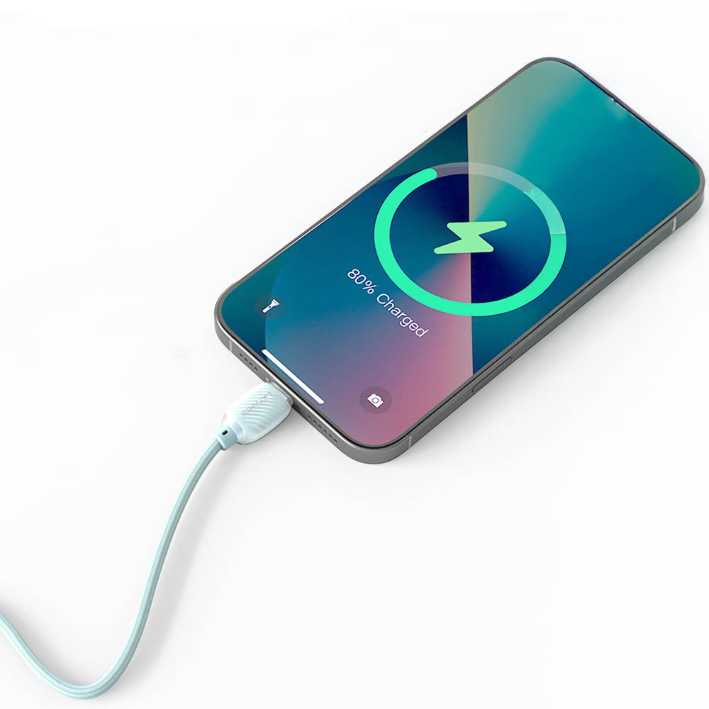Lenyes LC536 Type-C to Type-C PD Braided Design Fast Charging Data and Charging Cable 60W 1M - 7