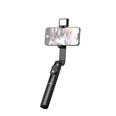 Lenyes LPH101 Live Broadcast Fill Light Tripod and Selfie Stick Black