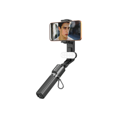 Lenyes LPH124 Fill Light Telescopic Tripod and Mini Selfie Stick Black