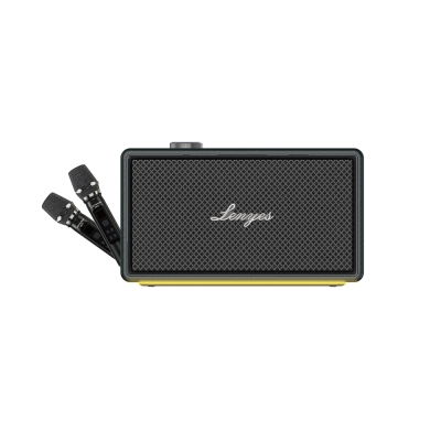 Lenyes S877 Series RGB Illuminated Portable Waterproof Dual Microphone TWS Bluetooth Speaker v5.3 200W Black