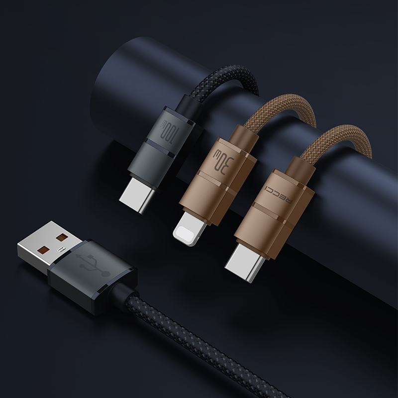 Recci RS08CC Warrior Series Type-C to Type-C 100W Fast Charging Data and Charging Cable 1.2M - 4