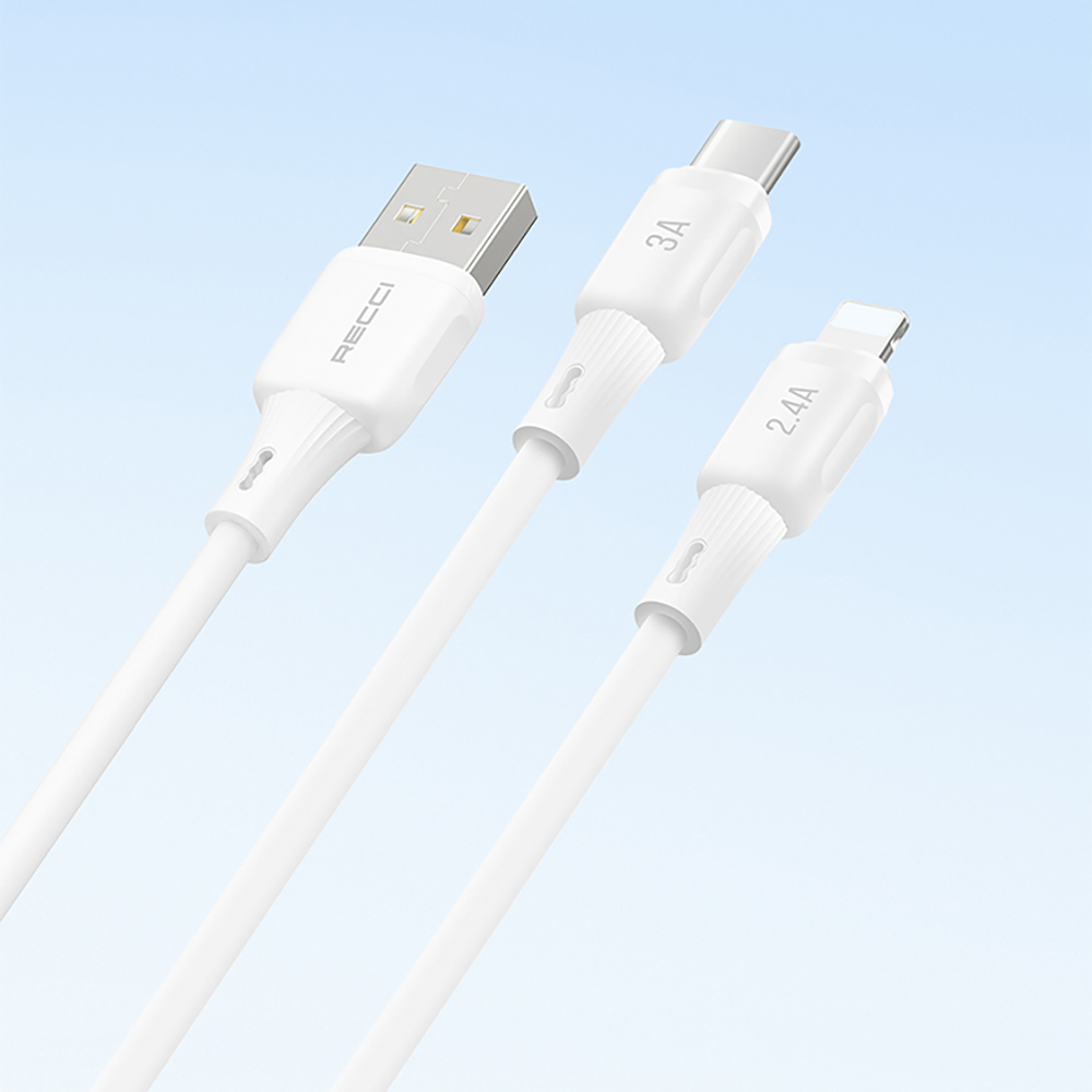 Recci RS52CC Type-C to Type-C PD Fast Charging Data and Charging Cable 65W 1M - 7