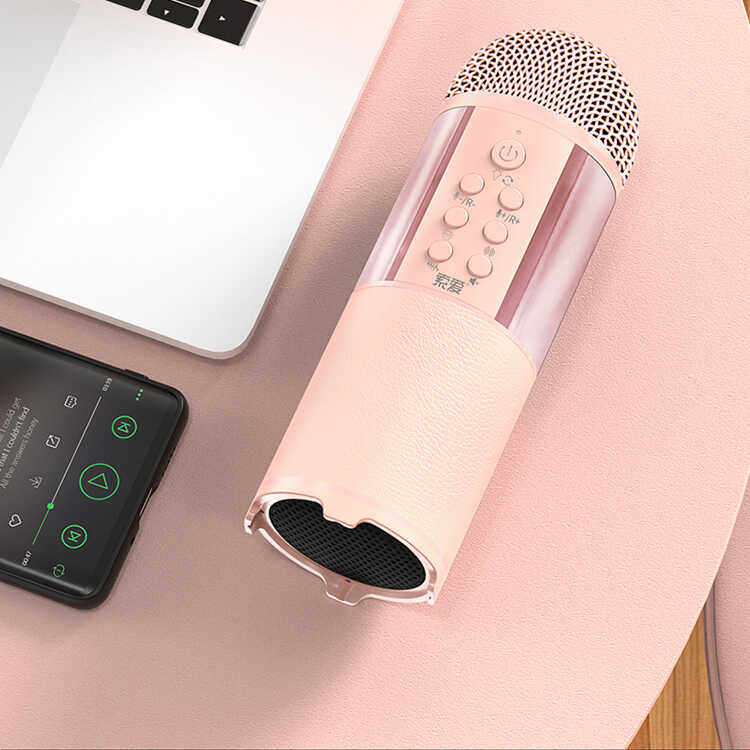 Soaiy MC12 Karaoke Microphone - 4