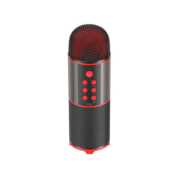 Soaiy MC12 Karaoke Microphone - 1