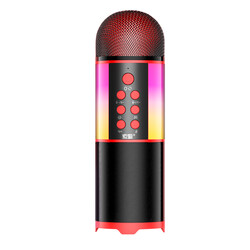 Soaiy MC12 Karaoke Microphone Black