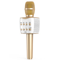 Soaiy MC7 Karaoke Microphone Gold