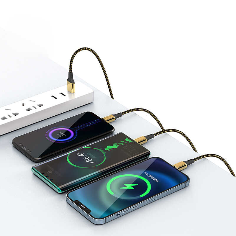 Wiwu Golden Series GD-102 Micro Data Cable 2M - 2