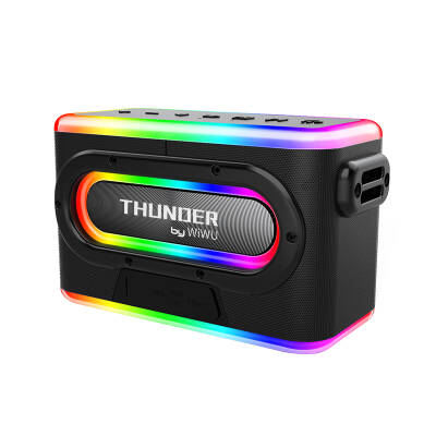 Wiwu P18 Thunder Bluetooth Speaker and Karaoke Bluetooth Dual Microphone Black