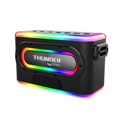 Wiwu P18 Thunder Bluetooth Speaker Hoparlör ve Karaoke Bluetooth Çift Mikrofon Siyah