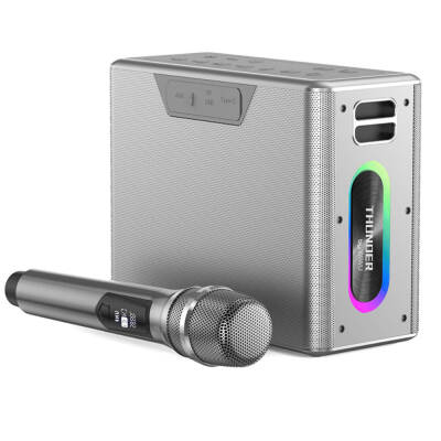 Wiwu P19 Thunder Bluetooth Speaker Hoparlör ve Karaoke Bluetooth Çift Mikrofon Gümüş