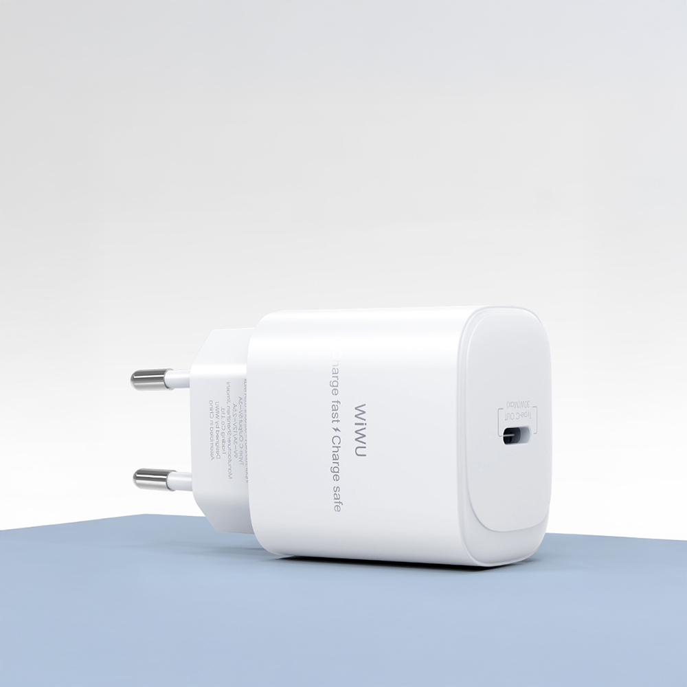 Wiwu Wi-G008 Essen Series GaN Tech PD Fast Charging Head Type-C to Type-C PD 30W Wired Charging Set - 11