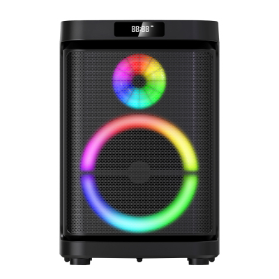 Zore GD-1019 Dijital LED Göstergeli Çift Mikrofonlu RGB TWS 10 inç Stereo Bass Kablosuz Karaoke Hoparlör Siyah