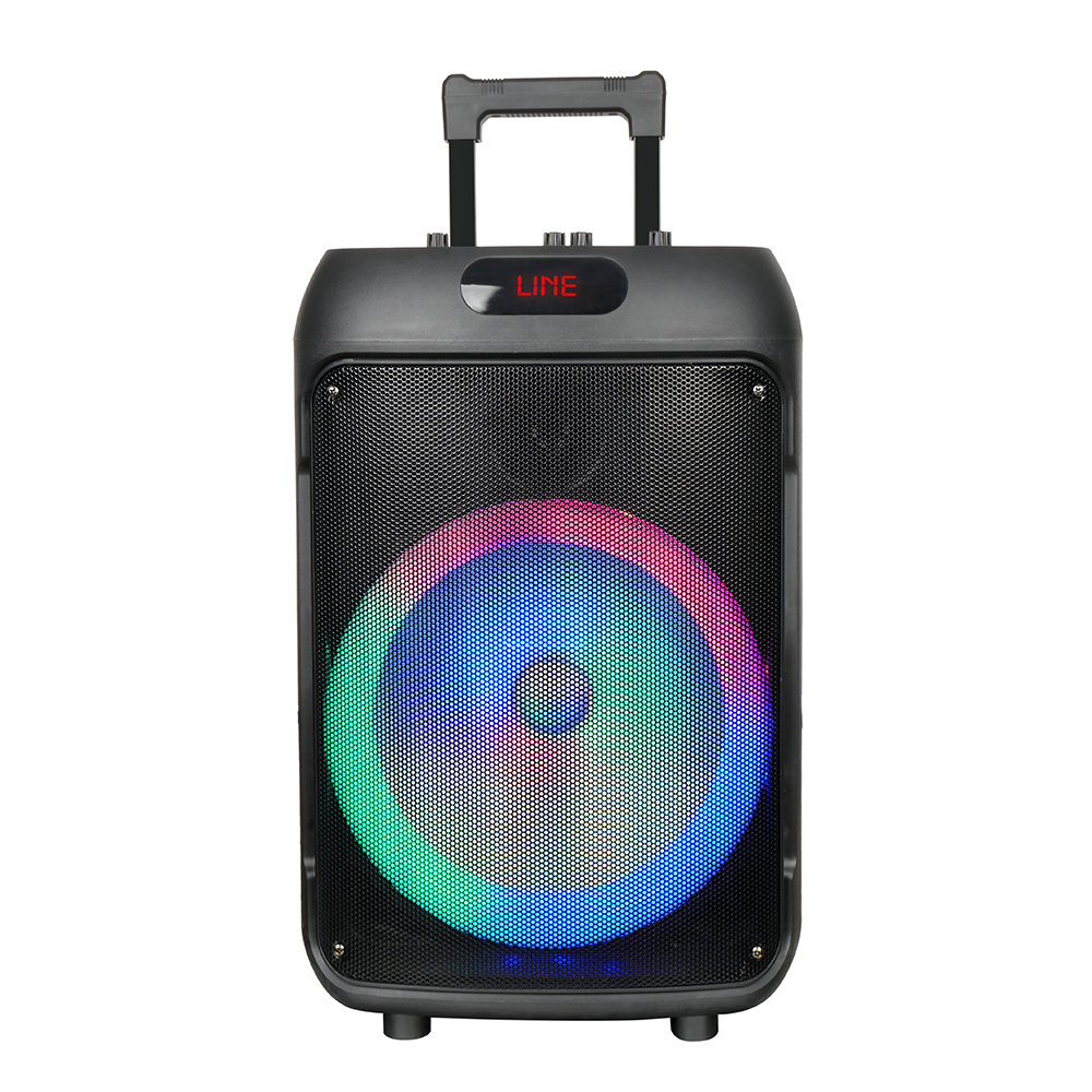Zore GD-1203 RGB TWS 12 inch Stereo Bass Wireless Karaoke Speaker with Digital LED Indicator, FM Radio and Microphone - 2