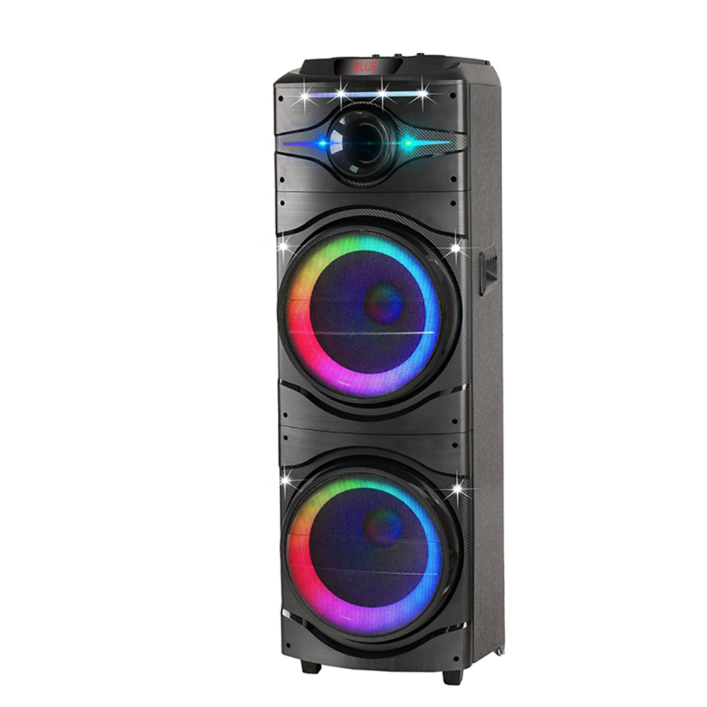 Zore GD-2016 Dijital LED Göstergeli FM Radyolu Mikrofonlu RGB TWS Çift 12 inç Stereo Bass Kablosuz Karaoke Hoparlör - 4