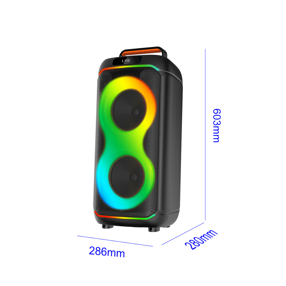 Zore GD-2823 Dijital LED Göstergeli FM Radyolu Mikrofonlu RGB TWS Çift 8 inç Stereo Bass Kablosuz Karaoke Hoparlör - 4