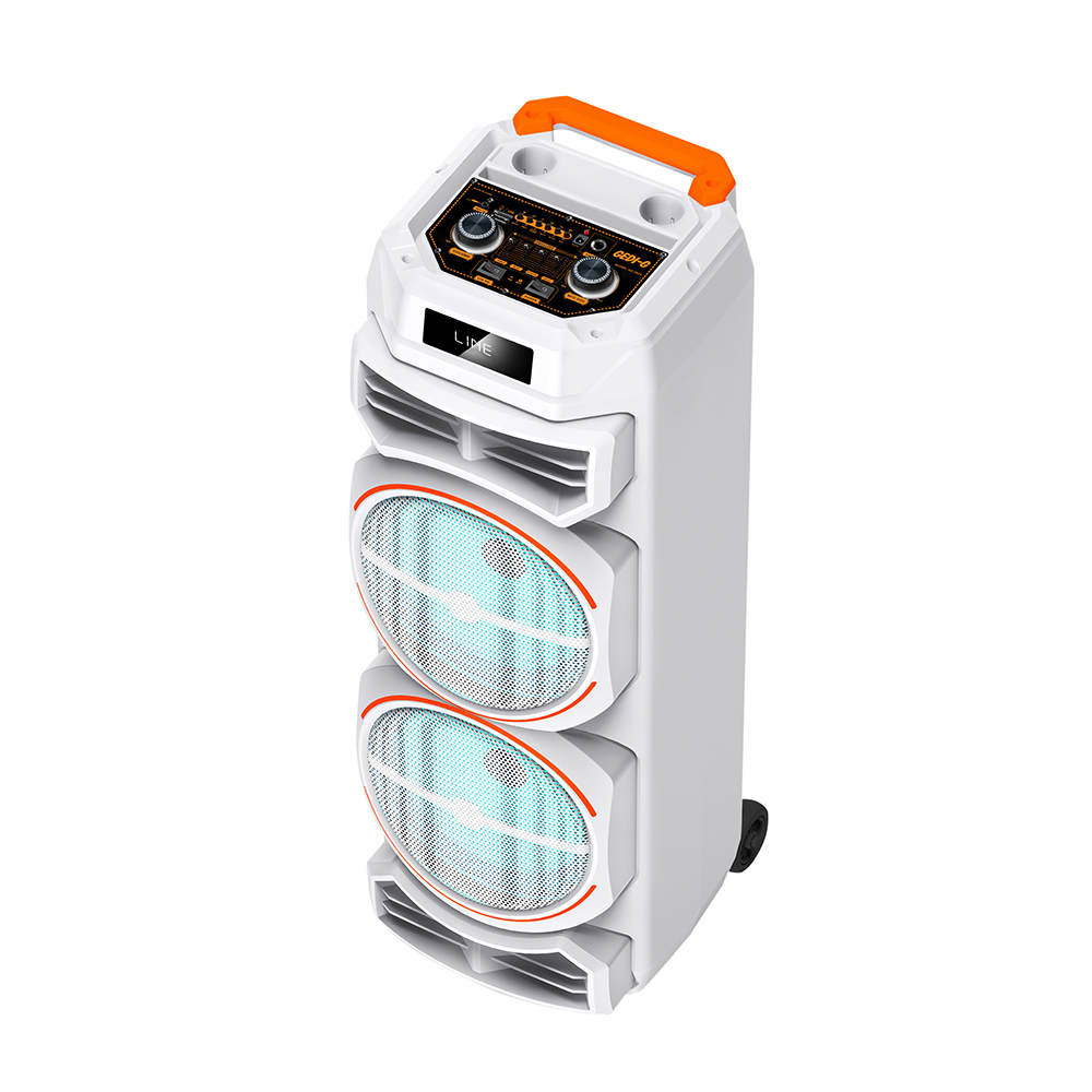 Zore GD-2828 Dijital LED Göstergeli Mikrofonlu RGB TWS Çift 8 inç Stereo Bass Kablosuz Karaoke Hoparlör - 3