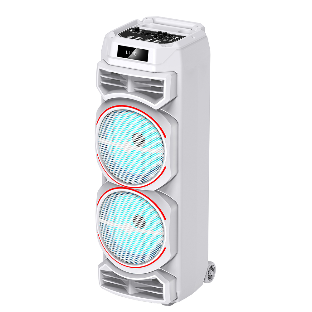 Zore GD-2828 Dijital LED Göstergeli Mikrofonlu RGB TWS Çift 8 inç Stereo Bass Kablosuz Karaoke Hoparlör - 2