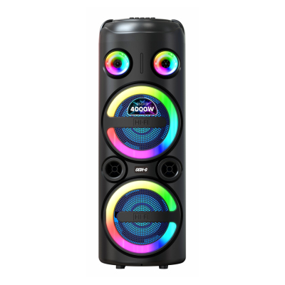 Zore GD-2851 Dijital LED Göstergeli FM Radyolu Mikrofonlu RGB TWS Çift 8 inç Stereo Bass Kablosuz Karaoke Hoparlör Siyah