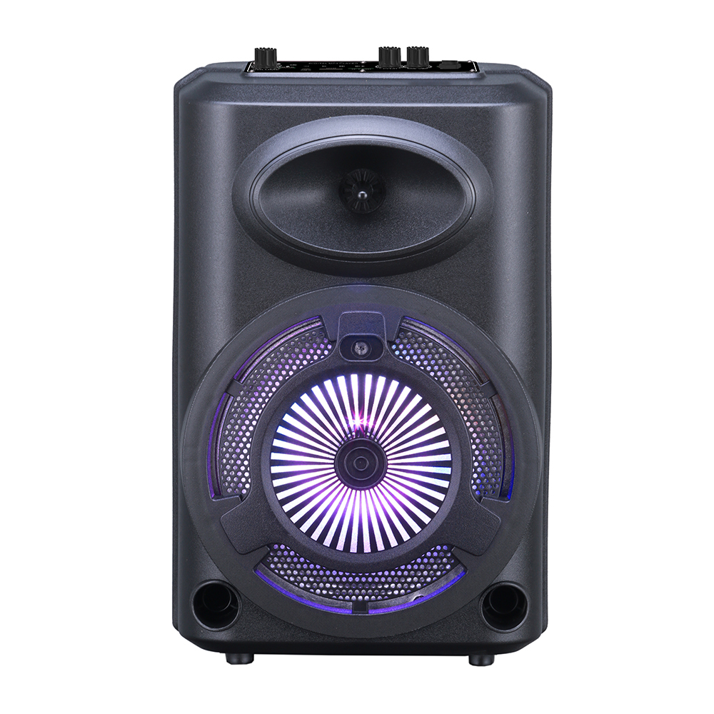 Zore GD-903 Digital LED Indicator, FM Radio, RGB TWS 8 inch Stereo Bass Wireless Karaoke Speaker with Microphone - 1