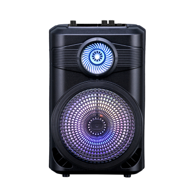 Zore GD-904 Digital LED Indicator, FM Radio, RGB TWS 8 inch Stereo Bass Wireless Karaoke Speaker with Microphone Black