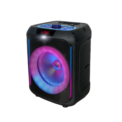 Zore GD-907 Dijital LED Göstergeli FM Radyolu Mikrofonlu RGB TWS 8 inç Stereo Bass Kablosuz Karaoke Hoparlör Siyah