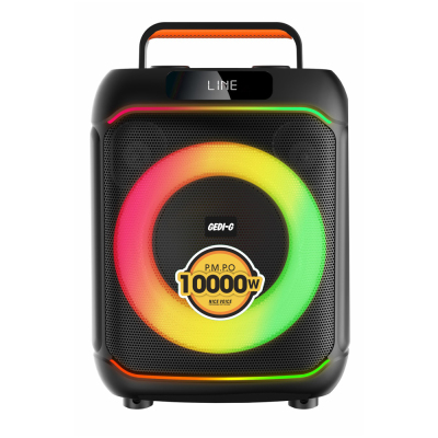 Zore GD-919 Dijital LED Göstergeli Mikrofonlu RGB TWS 8 inç Stereo Bass Kablosuz Karaoke Hoparlör Siyah