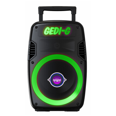 Zore GD-929 RGB TWS 8-inch Stereo Bass Wireless Karaoke Speaker with Microphone Black