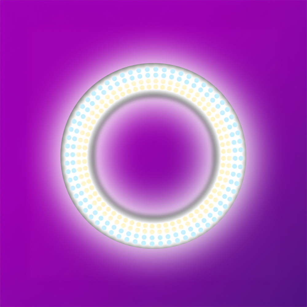 Zore LJJ22 RGB Light 56cm Işıklı Telefon Tutucu Ring Light - 4