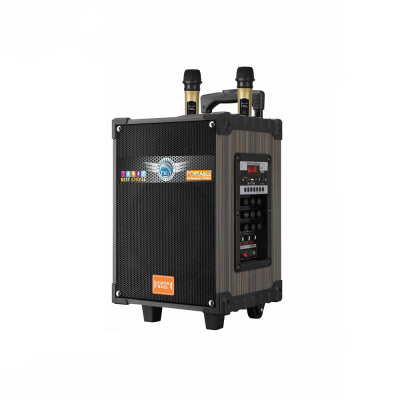 Zore LT-912 Dijital LED Göstergeli FM Radyolu Mikrofonlu Gitar Girişli TWS 12 inç Stereo Bass Kablosuz Karaoke Hoparlör Siyah