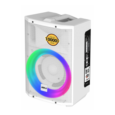 Zore LT-927 Microphone, RGB Lighting, Remote Controlled Stereo Bass Wireless TWS Karaoke Speaker White
